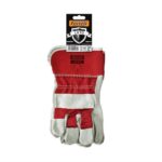 gantia-dermatopanina-Ferreli-LETO-XLarge-No10-23910