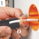 apogymnotis-kalodion-Benman-f48-75mm-72714