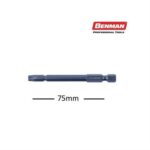 myti-torx-T25mmx75mm-set-2tem-BENMAN-72190