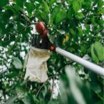 syllektis-karpon-tileskopikos-375m-Bradas-KT-V1531-375