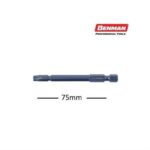 myti-torx-T20mmx75mm-set-2tem-BENMAN-72189