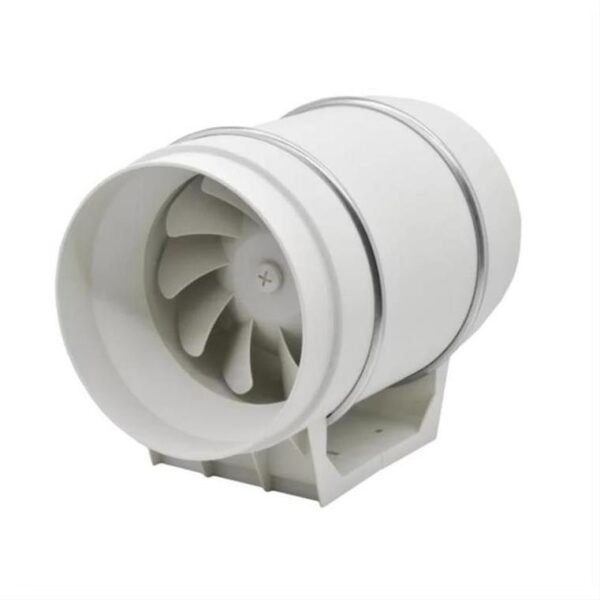 exaeristiras-aeragogon-f125-Air-Roxy-aril-100-01-312